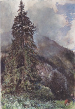 Репродукция картины "the large pine in gastein" художника "альт рудольф фон"