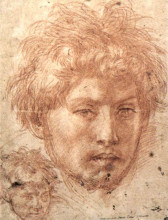 Репродукция картины "head of a young man" художника "сарто андреа дель"