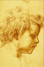 Репродукция картины "head of a child" художника "сарто андреа дель"
