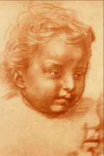 Копия картины "head of child" художника "сарто андреа дель"
