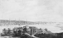 Копия картины "new york city and harbor from weehawken" художника "свиньин павел"