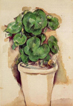 Репродукция картины "pot of geraniums" художника "сезанн поль"