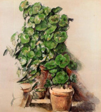 Репродукция картины "pots of geraniums" художника "сезанн поль"
