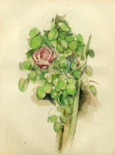 Копия картины "rose bush" художника "сезанн поль"