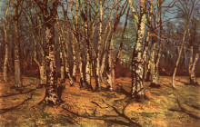 Картина "beech forest" художника "андрееску ион"
