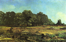 Репродукция картины "avenue of chestnut trees near la celle saint cloud" художника "сислей альфред"