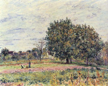 Картина "walnut trees at sunset in early october" художника "сислей альфред"