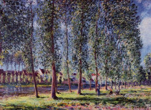 Копия картины "lane of poplars at moret" художника "сислей альфред"