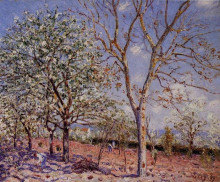 Репродукция картины "plum and walnut trees in spring" художника "сислей альфред"