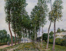 Репродукция картины "lane of poplars on the banks of the loing" художника "сислей альфред"