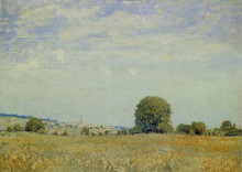 Копия картины "fields at saint cloud" художника "сислей альфред"