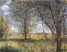 Репродукция картины "willows in a field afternoon" художника "сислей альфред"