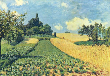 Репродукция картины "grain&#160;fields&#160;on the&#160;hills of&#160;argenteuil" художника "сислей альфред"