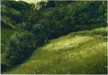 Репродукция картины "field in asturias" художника "соролья хоакин"