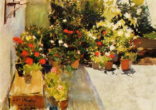 Картина "a rooftop with flowers" художника "соролья хоакин"