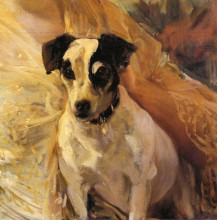 Копия картины "portrait of a jack russell" художника "соролья хоакин"