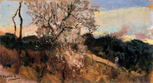 Картина "almond trees in asis" художника "соролья хоакин"