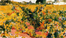 Копия картины "study of vineyard" художника "соролья хоакин"