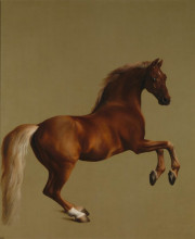 Копия картины "whistlejacket" художника "стаббс джордж"