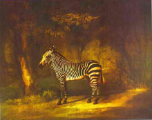 Картина "zebra" художника "стаббс джордж"