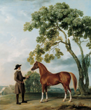 Картина "lord grosvenor&#39;s arabian stallion with a groom" художника "стаббс джордж"