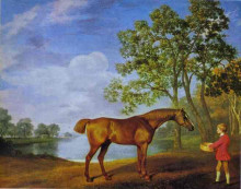 Копия картины "pumpkin with a stable lad" художника "стаббс джордж"