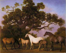Копия картины "mares and foals under an oak tree" художника "стаббс джордж"