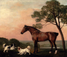 Копия картины "a bay hunter with two spaniels" художника "стаббс джордж"