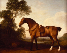 Копия картины "a saddled bay hunter" художника "стаббс джордж"