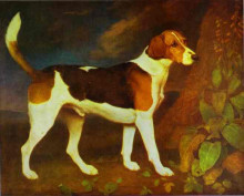 Репродукция картины "a foxhound, ringwod" художника "стаббс джордж"