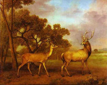 Репродукция картины "red deer stag and hind" художника "стаббс джордж"