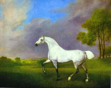 Картина "a grey horse" художника "стаббс джордж"