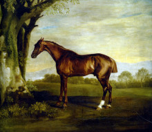 Картина "a chestnut racehorse" художника "стаббс джордж"