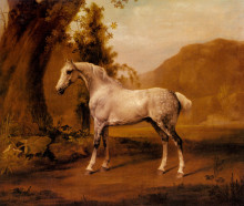 Репродукция картины "a grey stallion in a landscape" художника "стаббс джордж"