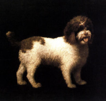 Картина "a water spaniel" художника "стаббс джордж"