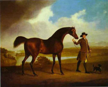 Копия картины "earl grosvenor&#39;s bandy" художника "стаббс джордж"