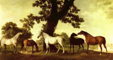 Картина "five brood mares" художника "стаббс джордж"