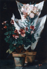 Копия картины "still life with potted geraniums" художника "стевенс альфред"