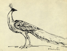 Копия картины "peacock" художника "стейнлен теофиль"