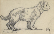 Репродукция картины "study of a puppy" художника "стейнлен теофиль"