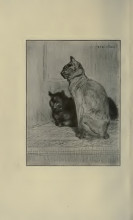 Репродукция картины "two cats" художника "стейнлен теофиль"