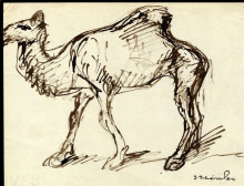 Картина "camel" художника "стейнлен теофиль"
