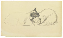 Картина "two sleeping cats" художника "стейнлен теофиль"
