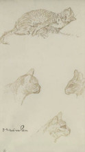 Картина "study of cats" художника "стейнлен теофиль"