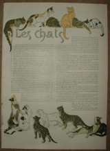 Репродукция картины "cats" художника "стейнлен теофиль"