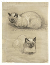Репродукция картины "siamese cats" художника "стейнлен теофиль"