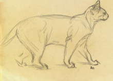 Картина "study of a cat walking" художника "стейнлен теофиль"