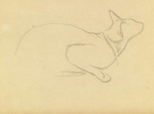 Картина "study of a cat" художника "стейнлен теофиль"