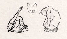 Репродукция картины "three cats study" художника "стейнлен теофиль"