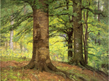 Картина "beech trees" художника "стил теодор клемент"